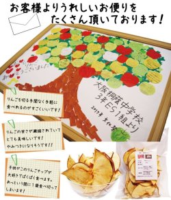 画像5: 【発送時期2026/1月〜】りんごチップ70ｇ×6袋入り