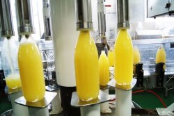 画像5: 完熟サンふじりんごジュース　1リットル×6本入り