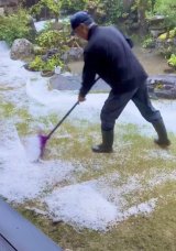 サンふじ【注文受付停止】雹害のお知らせ