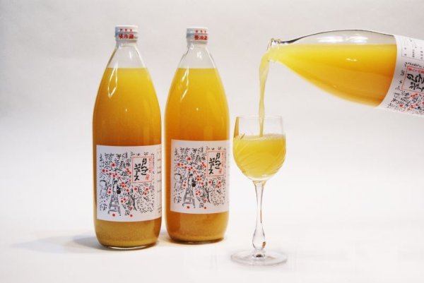 画像2: 完熟サンふじりんごジュース 1リットル×3本入り (2)