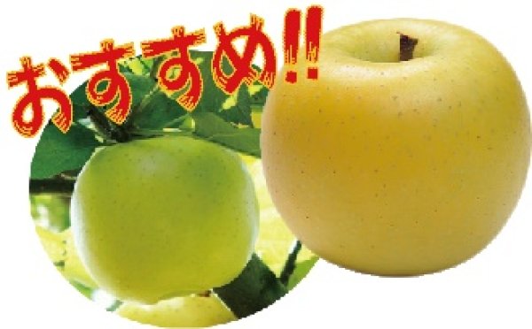 画像1: シナノゴールド《贈答用》11月上旬〜 (1)
