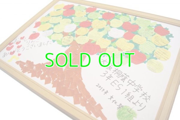 画像2: 【最終販売★M玉のみ販売中】サンふじ《家庭用》11月中旬〜 (2)